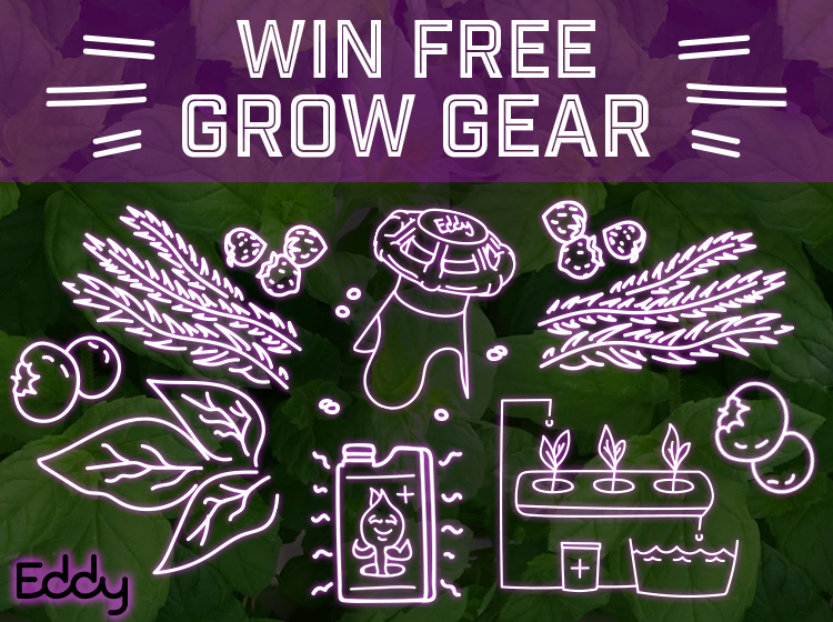 win free grow gear